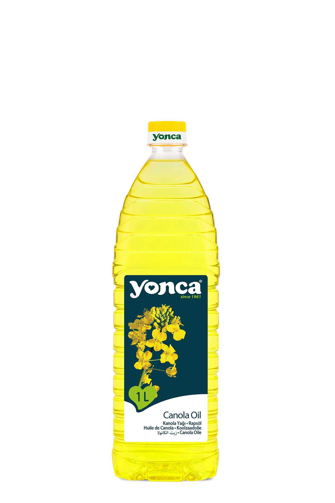Canola Oil 1 L