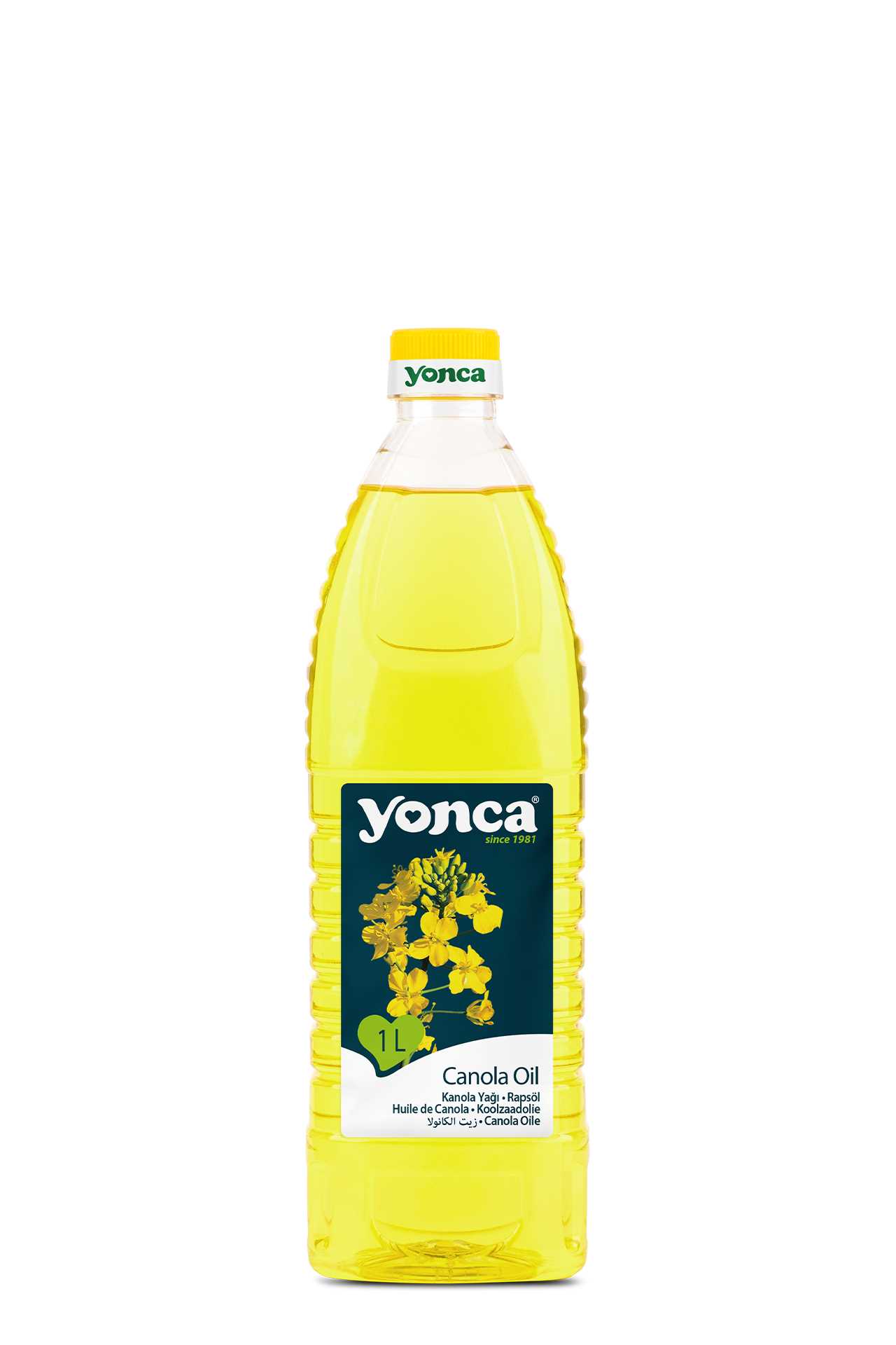 Canola Oil | Yonca Food