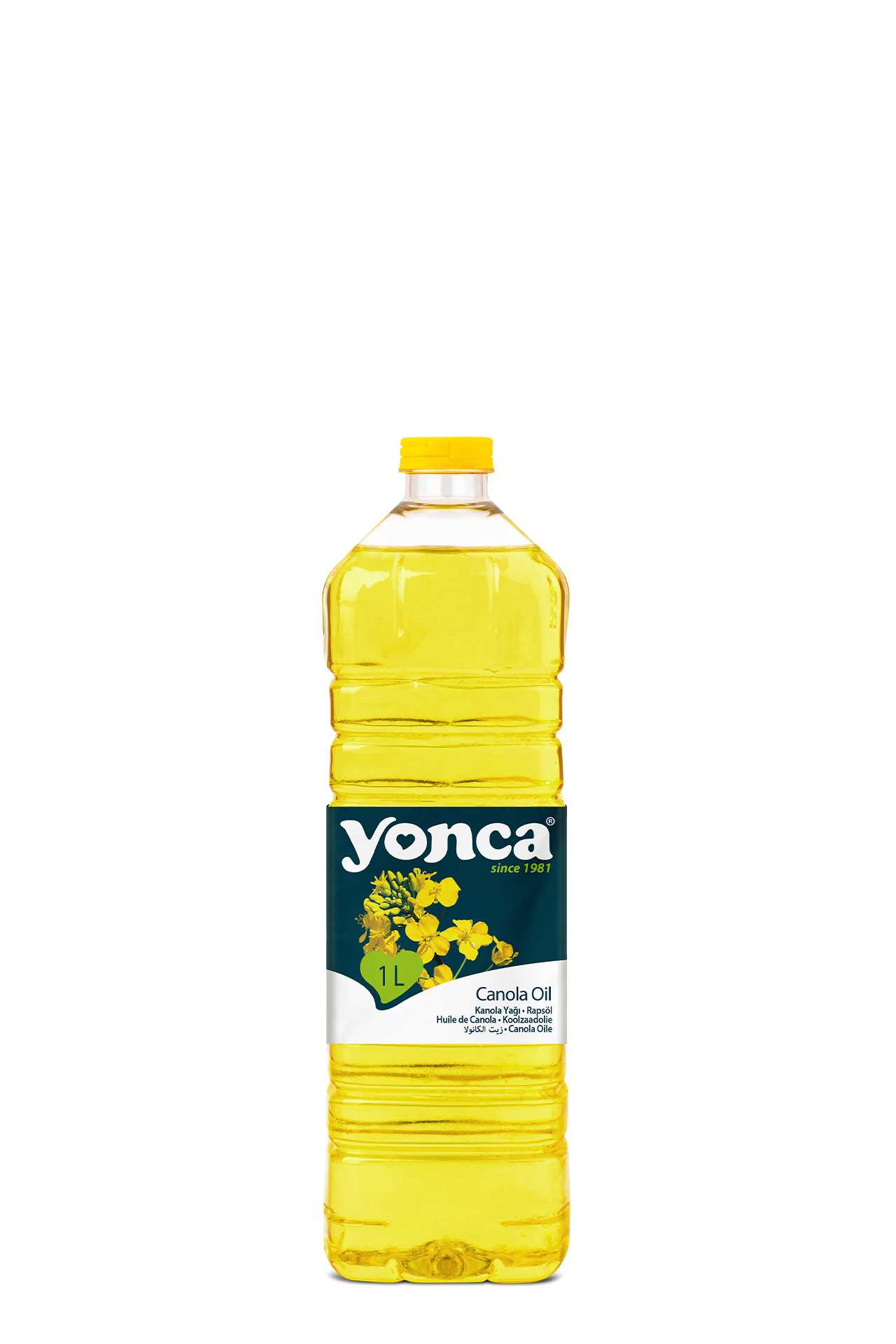 Canola Oil Yonca Food
