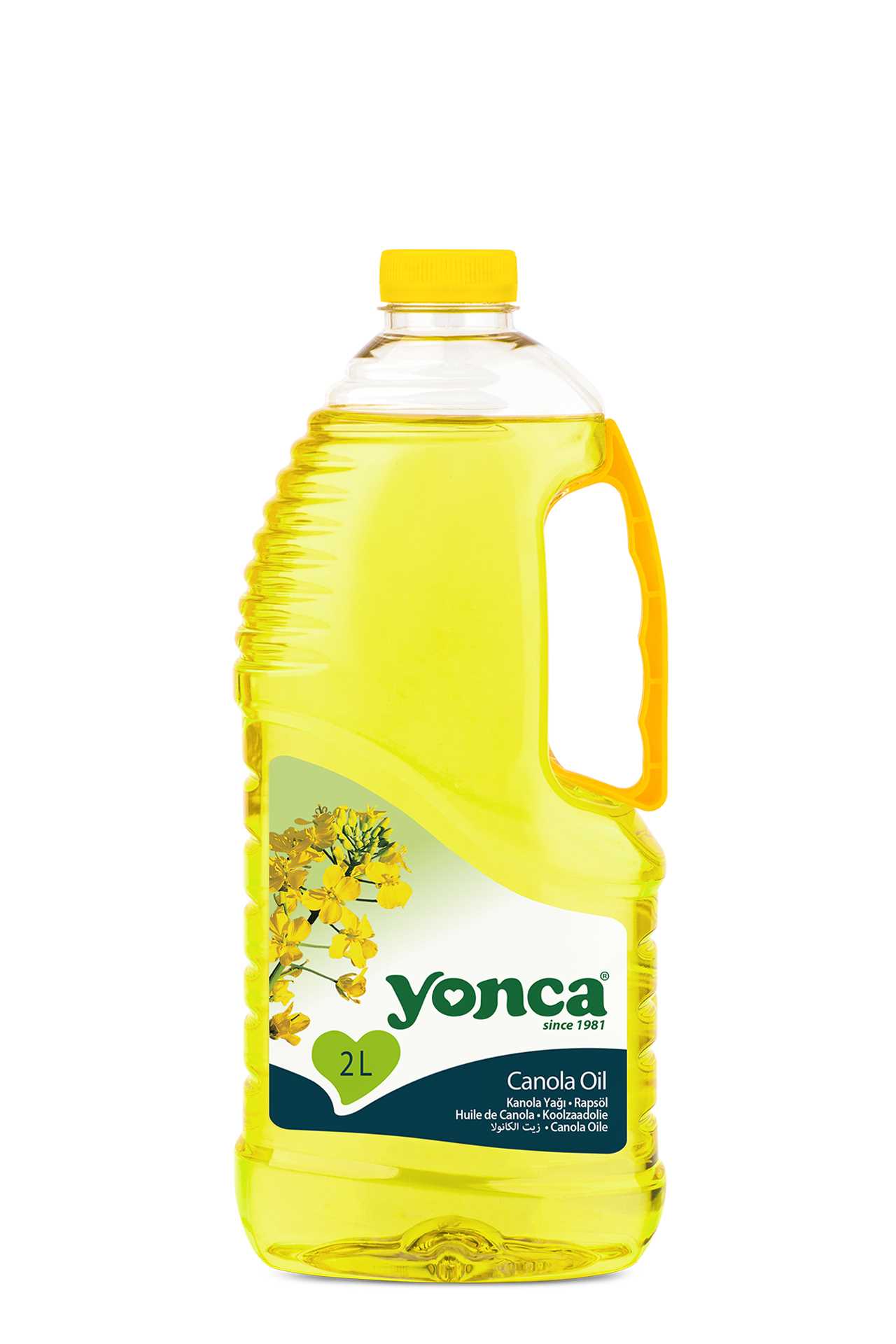 Canola Oil | Yonca Food