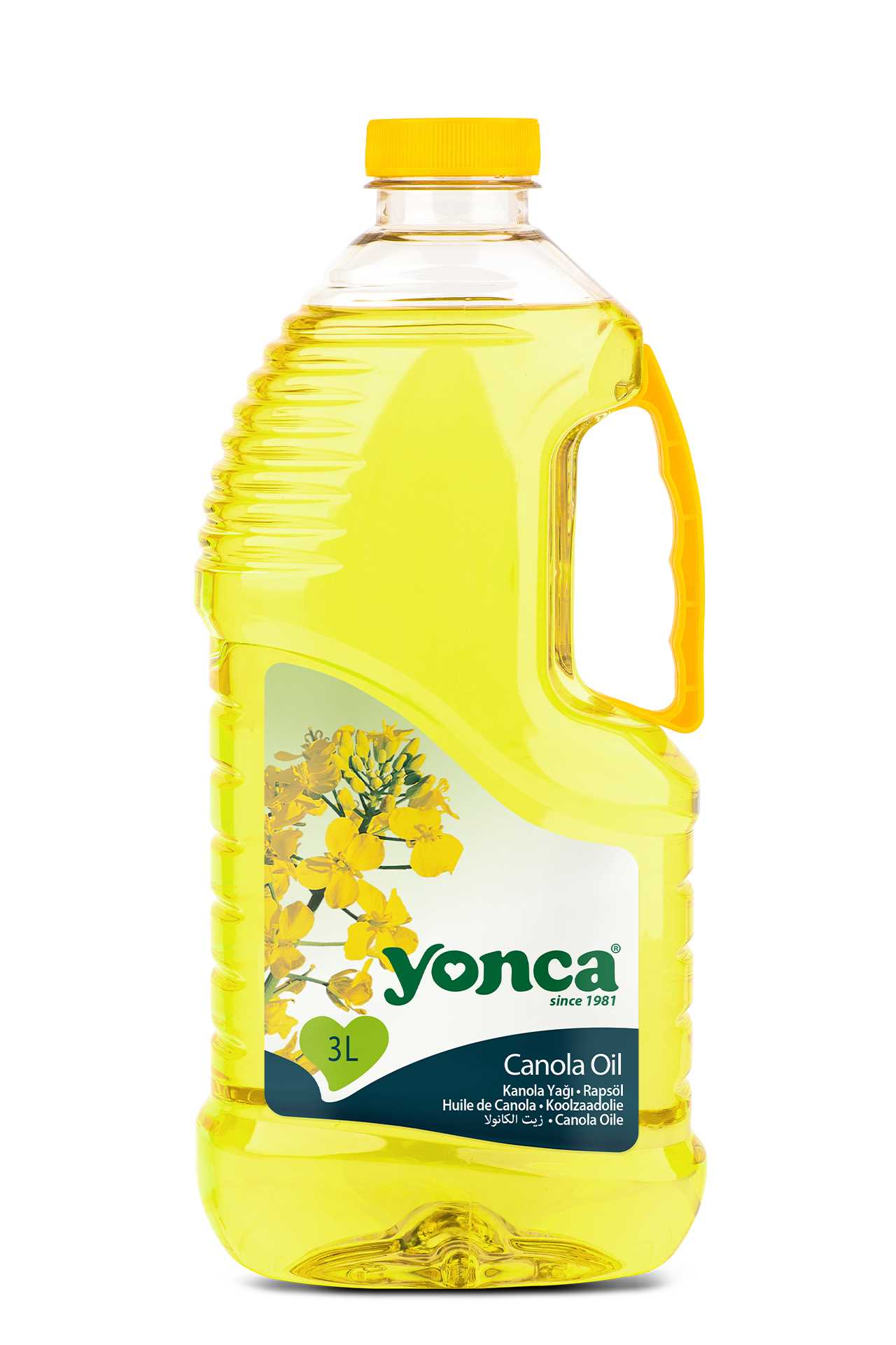 Canola Oil | Yonca Food