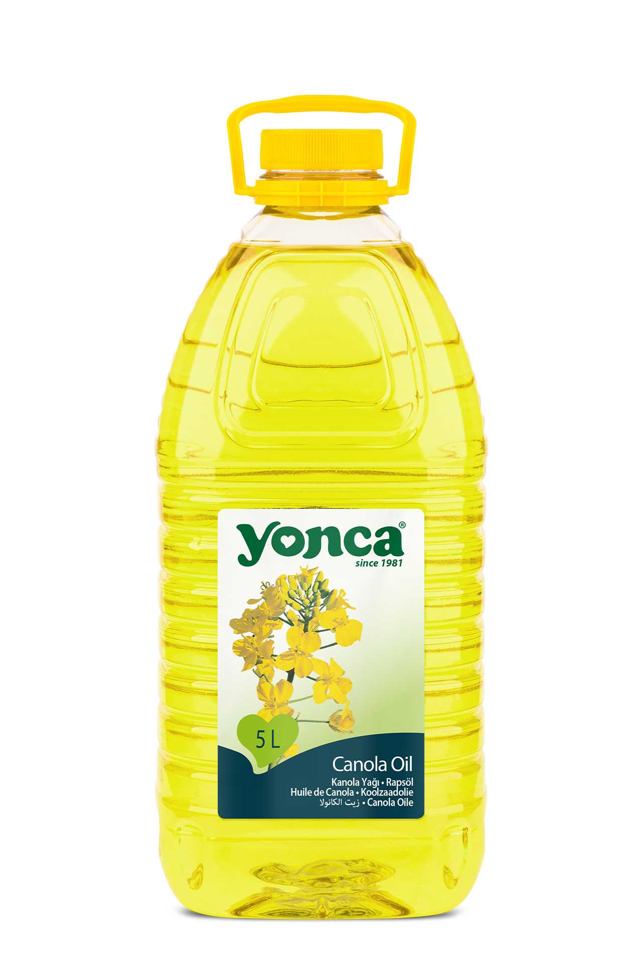 Canola Oil 5 L