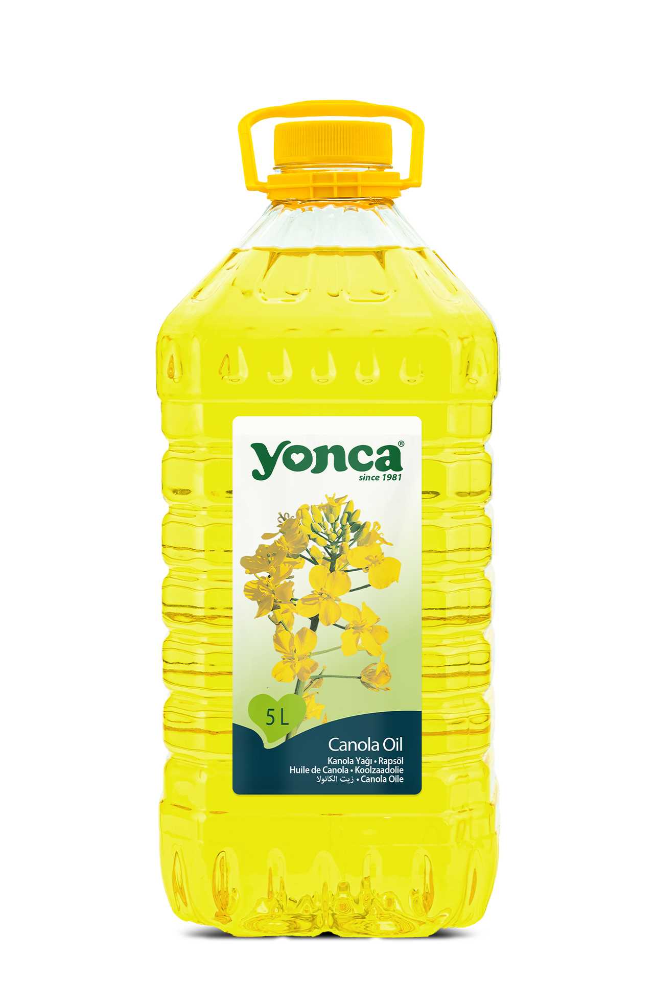 Canola Oil 5 L