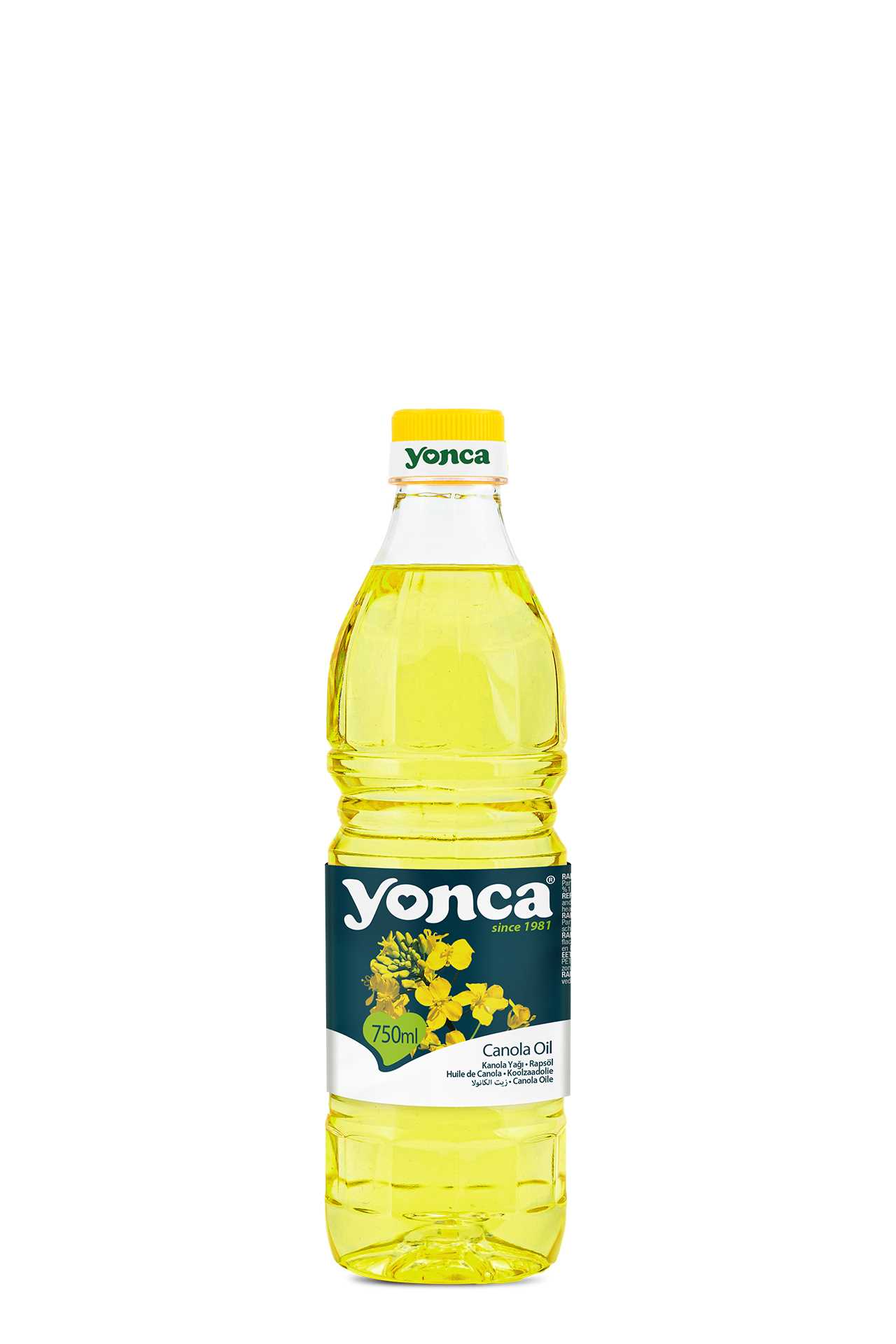 Canola Oil | Yonca Food