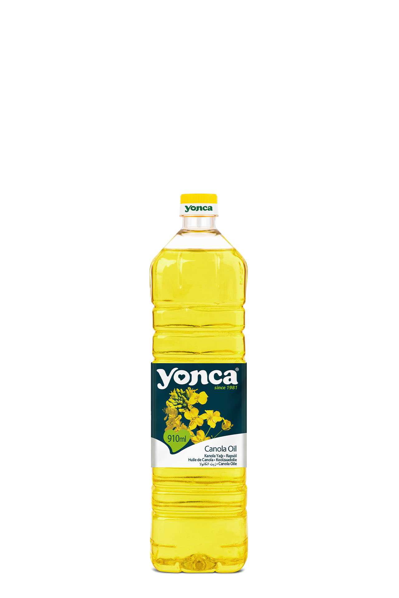 Canola Oil 910 ml