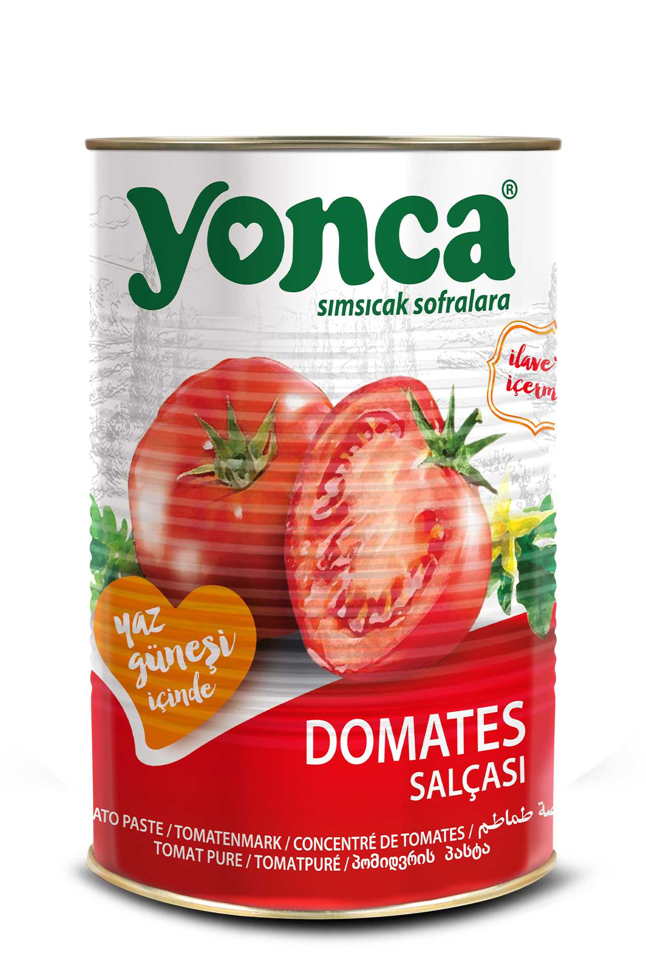 Domates Salçası 4500g