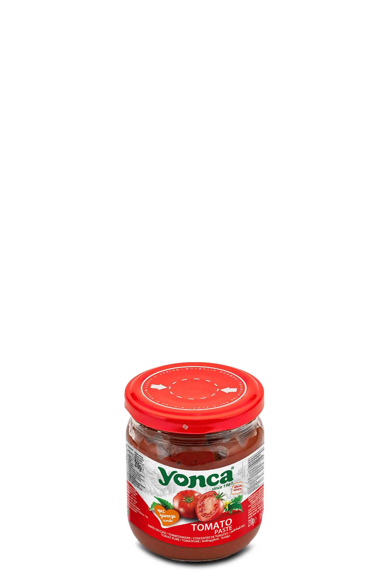 Tomato Paste 210g