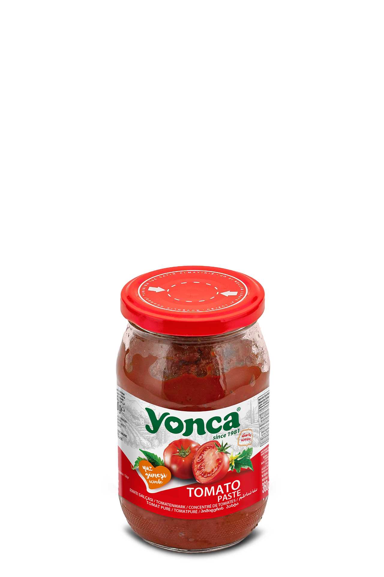 Tomato Paste 360g