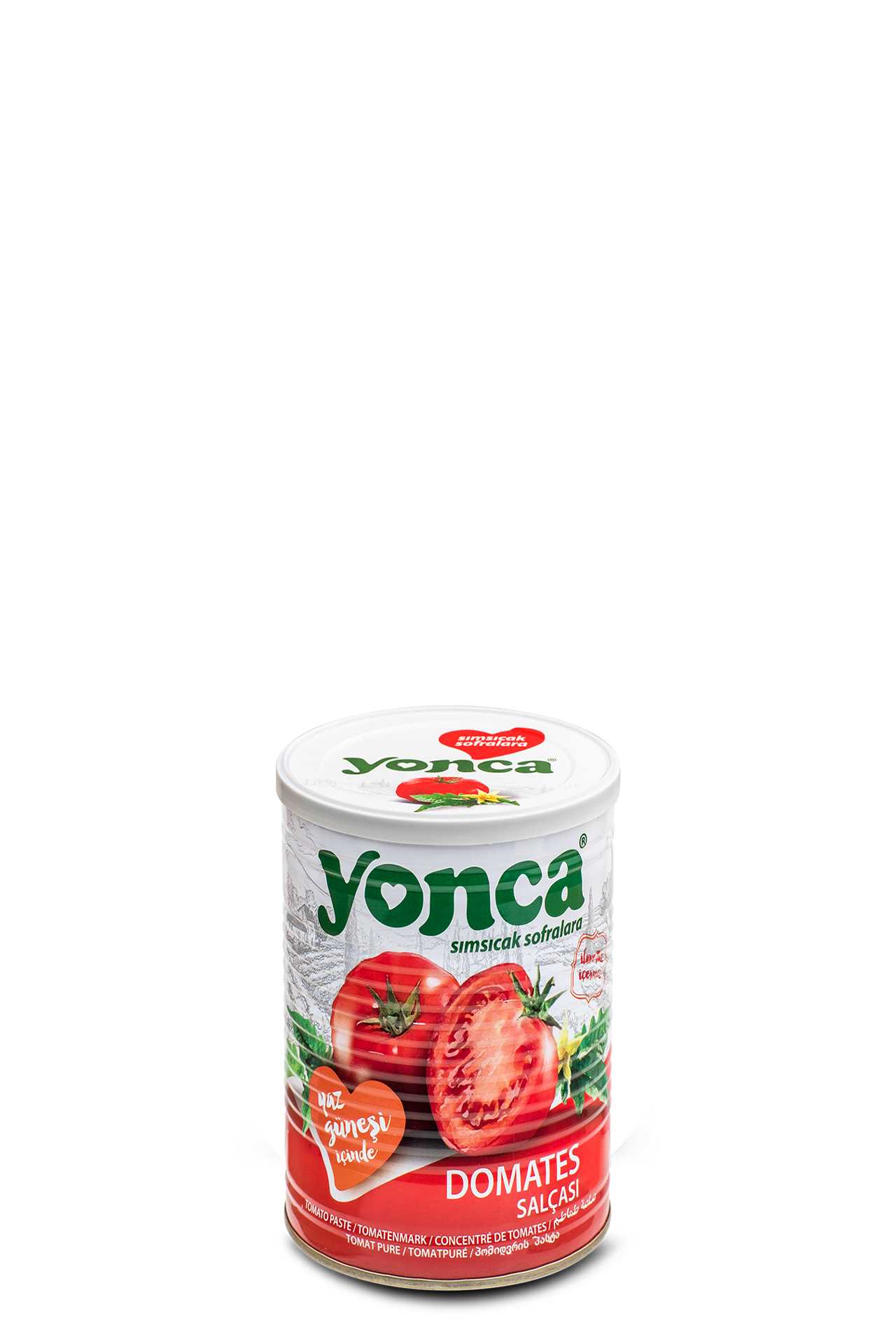 Tomato Paste 400g