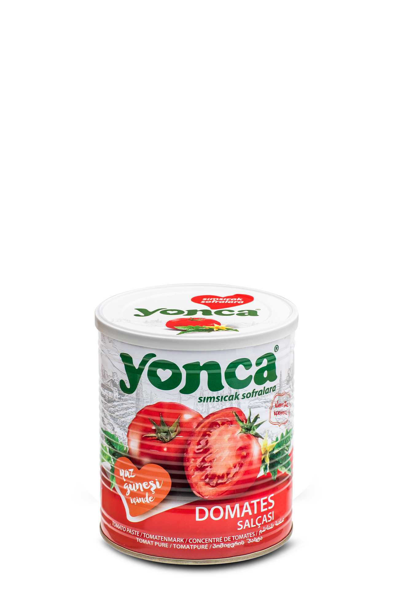 Tomato Paste 830g
